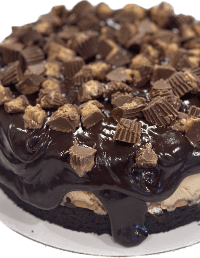 A decadent chocolate cake topped with a thick layer of glossy chocolate fudge, garnished with an assortment of chopped peanut butter cups and pieces of peanut butter candy. The cake sits on a white plate and has a rich, indulgent appearance.