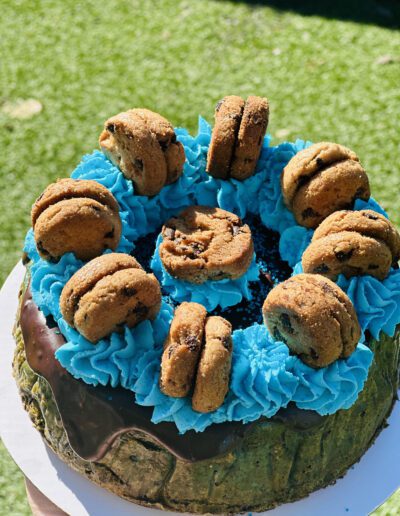 A close-up of a cake topped with blue frosting and several chocolate chip cookies. The frosting is placed around the edges and center of the cake, forming a decorative pattern. The cake is placed outdoors on a green grass background.