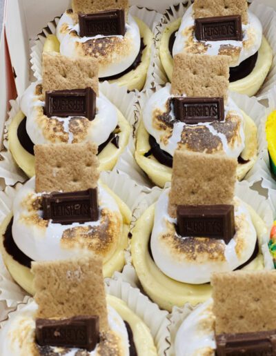 A close-up of several s'mores cupcakes arranged in rows. Each cupcake is topped with toasted marshmallow frosting, a piece of chocolate, and a graham cracker rectangle. The cupcakes are in white paper liners.