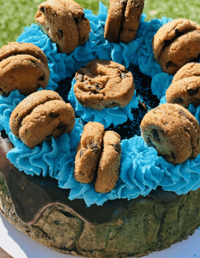 A frosted cake topped with blue icing swirls and chocolate chip cookies on a sunny day. The cake has a chocolate drizzle around the edges and is set outdoors on a grassy surface, possibly for a picnic or birthday celebration.